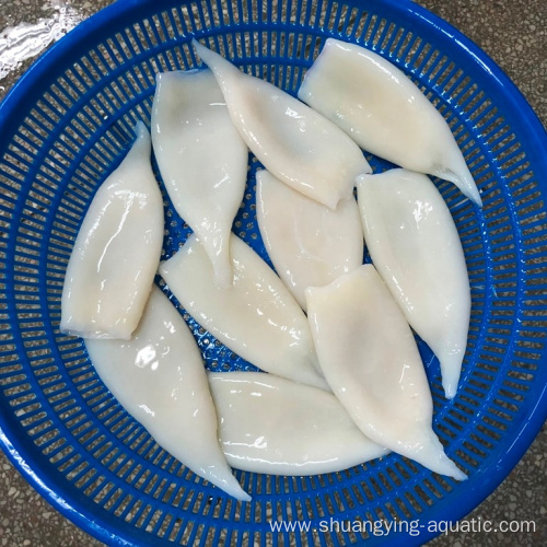 Frozen Pacific Squid Tube U10 Iqf For Importer